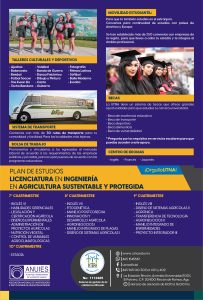 3 flyer utna 2026 ing asp y tsu asp federal 02